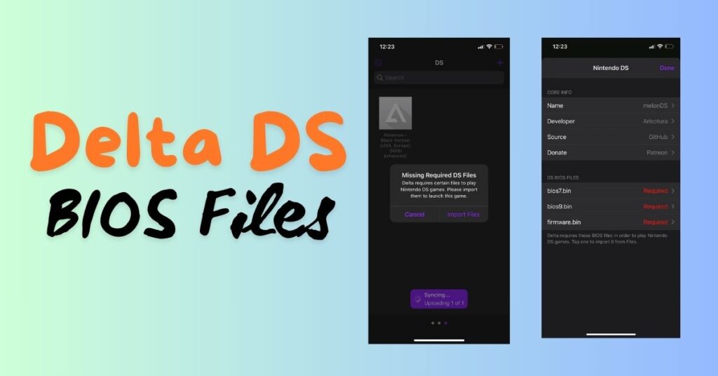 Delta DS Bios Files